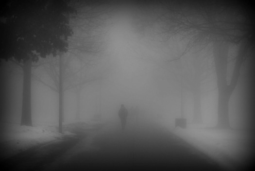 dustbunnyinthewind.com-fog